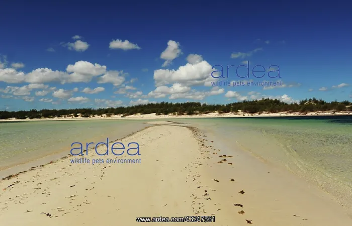 : Madagascar, Baie de Sakalava, view on the : Madagascar, Baie de Sakalava, view on the