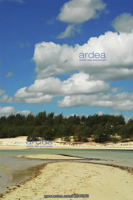 : Madagascar, Baie de Sakalava, view on the : Madagascar, Baie de Sakalava, view on the