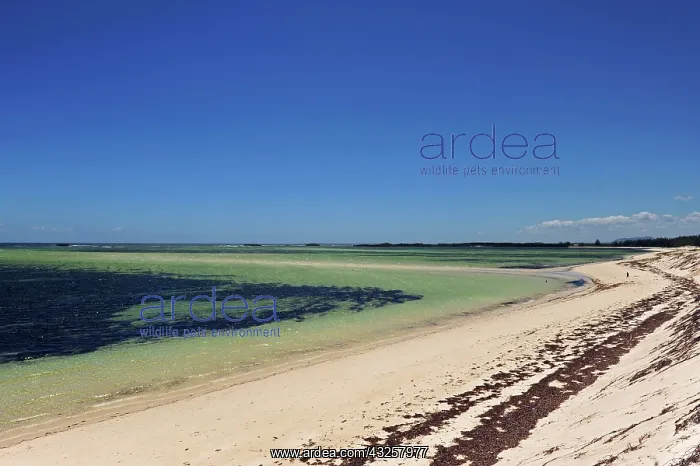 : Madagascar, Baie de Sakalava, view on the : Madagascar, Baie de Sakalava, view on the