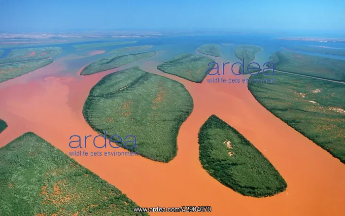  : Madagascar - bay of river Betsiboka