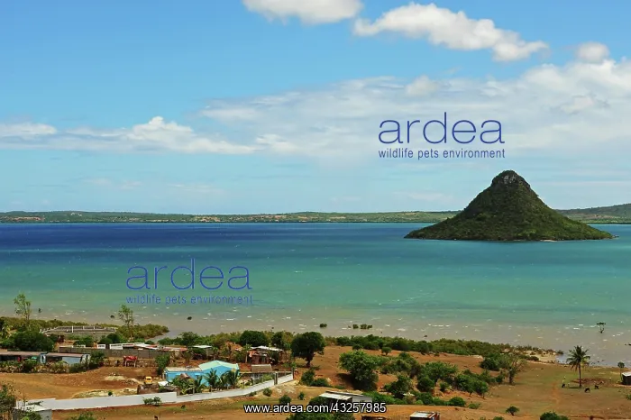: Madagascar, Diego Suarez, view on the local : Madagascar, Diego Suarez, view on the local