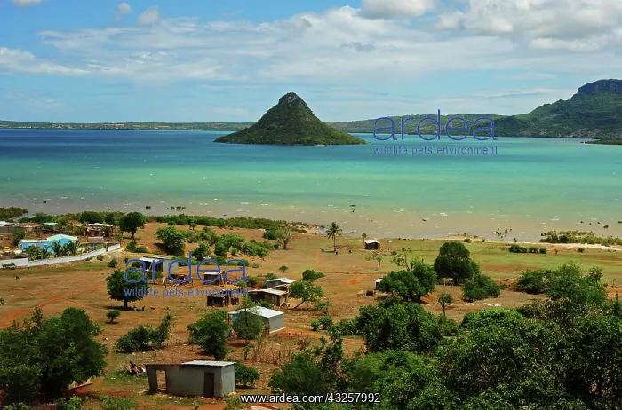 : Madagascar, Diego Suarez, view on the local : Madagascar, Diego Suarez, view on the local