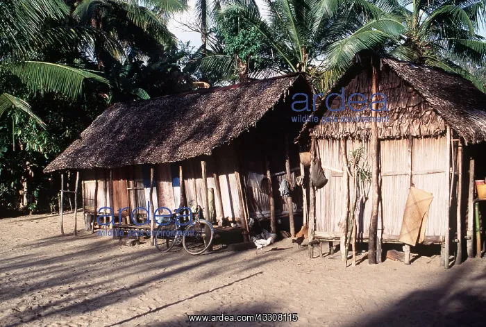 : MADAGASCAR - Houses with banana leaf roofs : MADAGASCAR - Houses with banana leaf roofs