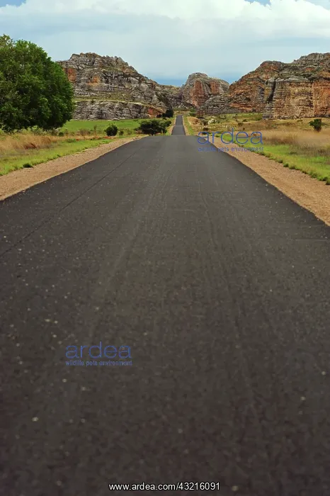 : Madagascar, National Park of Isalo, road : Madagascar, National Park of Isalo, road