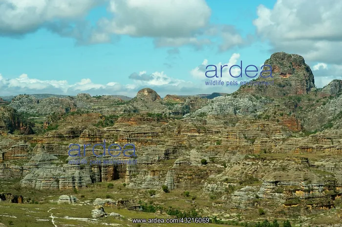 : Madagascar, National Park of Isalo, Rock : Madagascar, National Park of Isalo, Rock