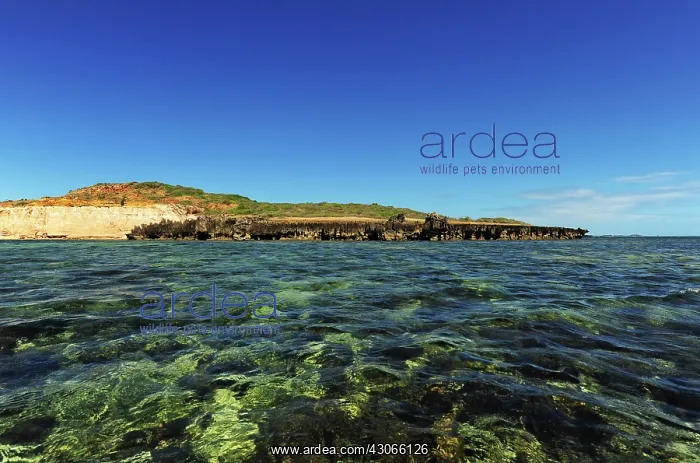 : Madagascar, Ramena, Mer d'Emeraude, view : Madagascar, Ramena, Mer d'Emeraude, view