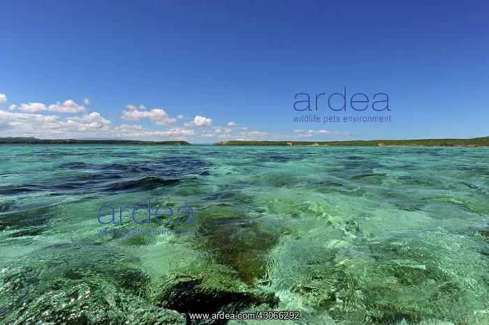 : Madagascar, Ramena, Mer d'Emeraude, view : Madagascar, Ramena, Mer d'Emeraude, view