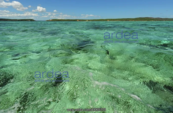 : Madagascar, Ramena, Mer d'Emeraude, view : Madagascar, Ramena, Mer d'Emeraude, view
