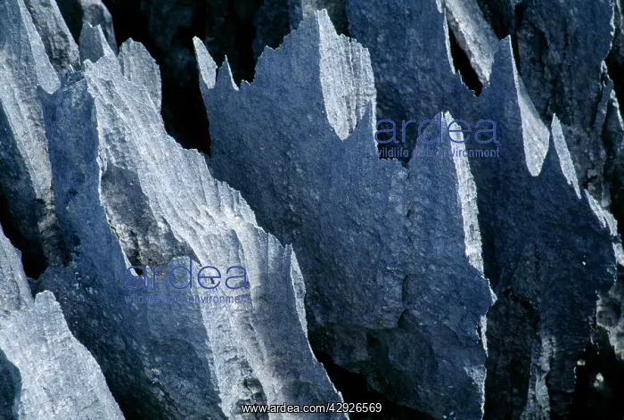 : Madagascar - Tsingy de Bemahara National Park - : Madagascar - Tsingy de Bemahara National Park -
