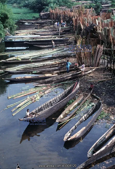 : MADAGASCAR - Wood Market and Boats : MADAGASCAR - Wood Market and Boats