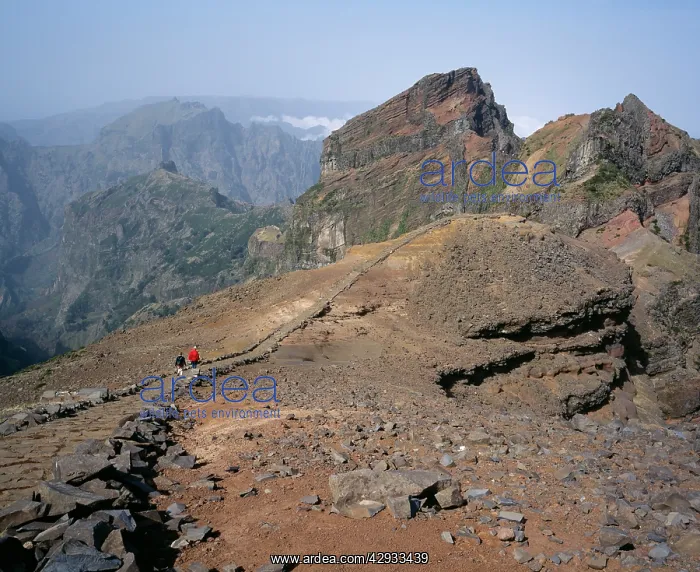 : MADEIRA - from summit of Pico Do Arieiro : MADEIRA - from summit of Pico Do Arieiro