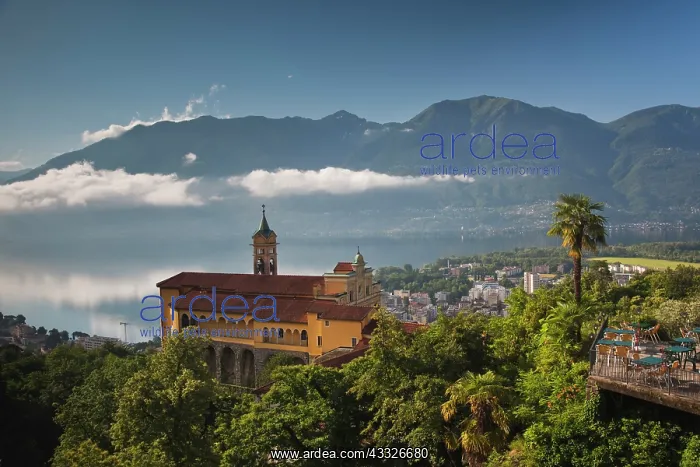 : Madonna del Sasso church in morning light : Madonna del Sasso church in morning light