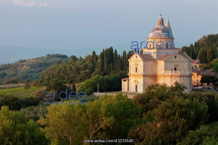 : Madonna di San Biagio Church near Montepulciano : Madonna di San Biagio Church near Montepulciano