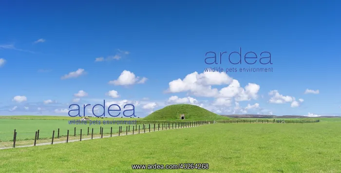 : Maes Howe (Maeshowe) is a Neolithic chambered : Maes Howe (Maeshowe) is a Neolithic chambered