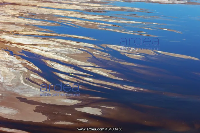 : Magadi lake in Kenya, Patterns : Magadi lake in Kenya, Patterns
