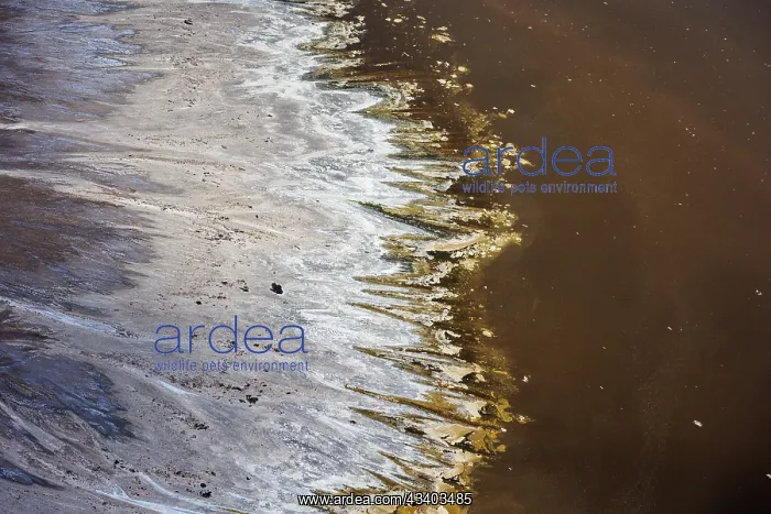 : Magadi lake in Kenya, Patterns : Magadi lake in Kenya, Patterns