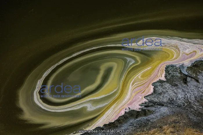 : Magadi lake in Kenya, Patterns : Magadi lake in Kenya, Patterns