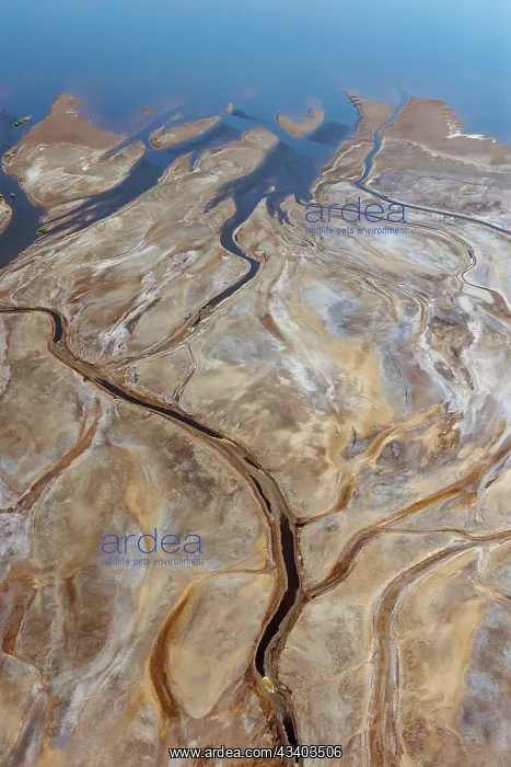 : Magadi lake in Kenya, Patterns : Magadi lake in Kenya, Patterns