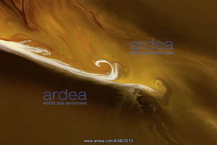 : Magadi lake in Kenya, Patterns : Magadi lake in Kenya, Patterns
