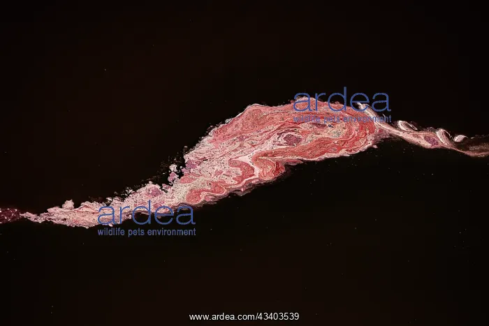 : Magadi lake in Kenya, Patterns : Magadi lake in Kenya, Patterns
