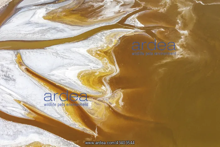 : Magadi lake in Kenya, Patterns : Magadi lake in Kenya, Patterns