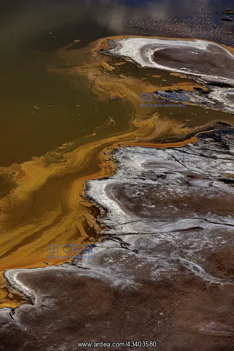 : Magadi lake in Kenya, Patterns : Magadi lake in Kenya, Patterns