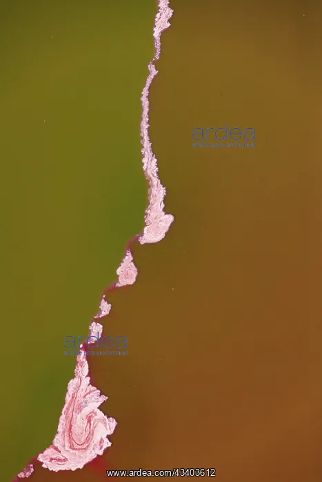 : Magadi lake in Kenya, Patterns : Magadi lake in Kenya, Patterns