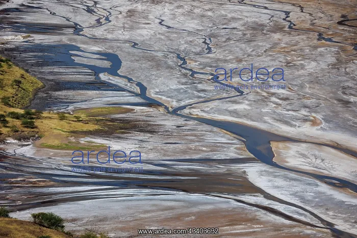: Magadi lake in Kenya, Patterns : Magadi lake in Kenya, Patterns