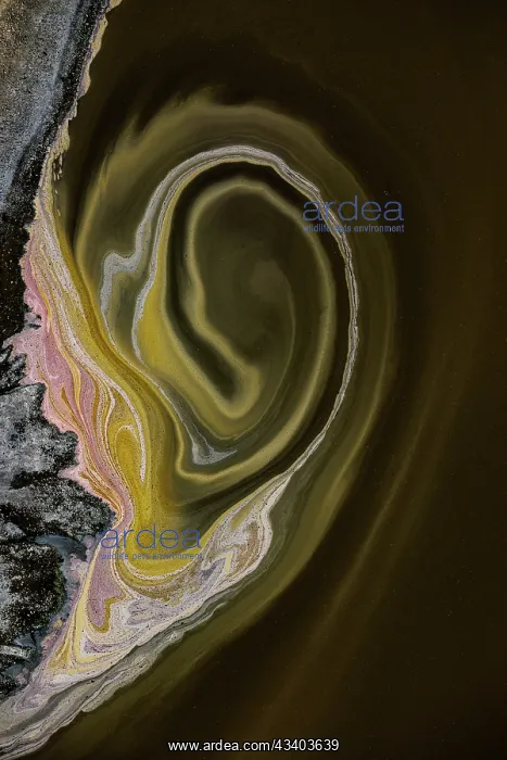 : Magadi lake in Kenya, Patterns : Magadi lake in Kenya, Patterns