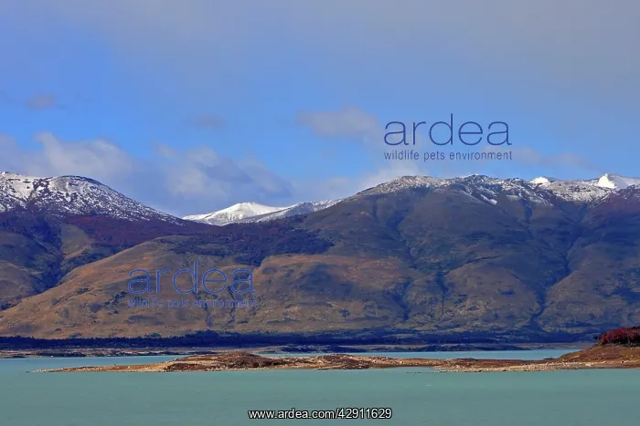 : Magallanes Peninsula : Magallanes Peninsula