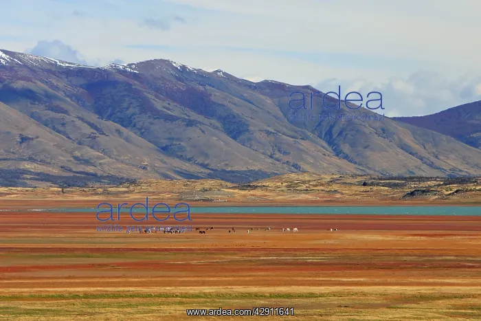  : Magallanes Peninsula