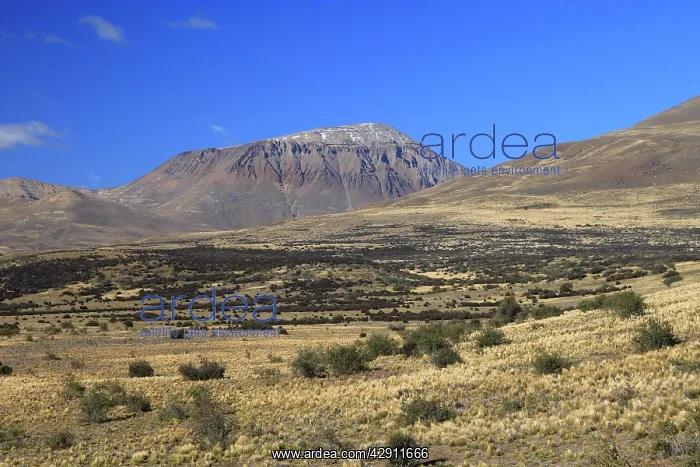 : Magallanes Peninsula