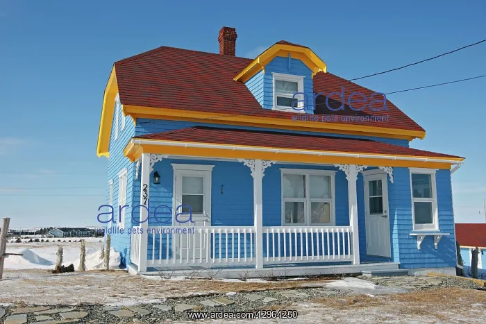 : Magdalen Islands