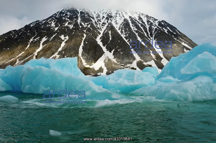 : Magdalena Fjord, Glacier, Spitsbergen Island, Svalbard : Magdalena Fjord, Glacier, Spitsbergen Island, Svalbard