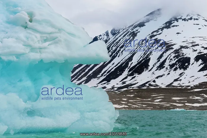 : Magdalena Fjord, Glacier, Spitsbergen Island, Svalbard : Magdalena Fjord, Glacier, Spitsbergen Island, Svalbard