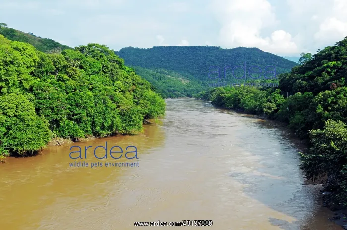 : Magdalena river near the city of Honda, Colombia : Magdalena river near the city of Honda, Colombia