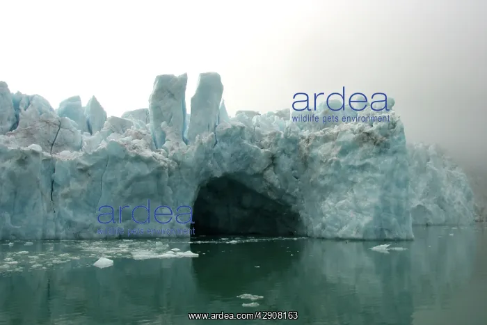 : Magdalene Glacier : Magdalene Glacier