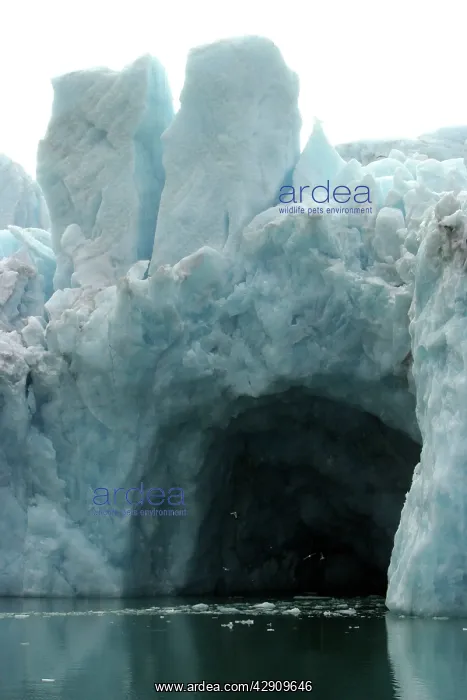  : Magdalene Glacier