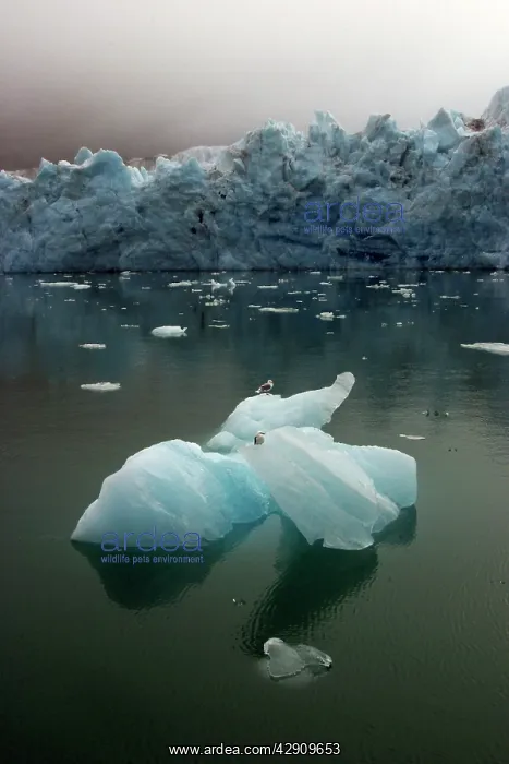  : Magdalene Glacier