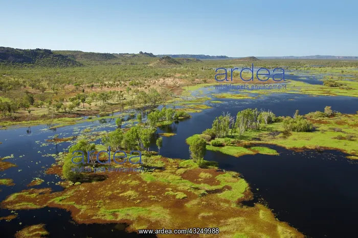 : Magela Wetlands, Kakadu National Park, Northern : Magela Wetlands, Kakadu National Park, Northern