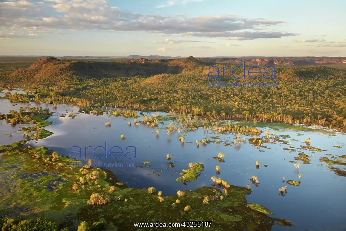: Magela Wetlands, Kakadu National Park, Northern : Magela Wetlands, Kakadu National Park, Northern