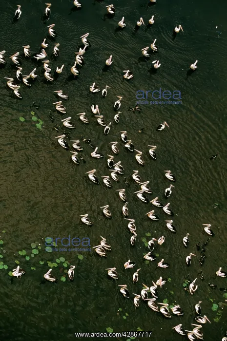 : Magela Wetlands during The Wet Kakadu National : Magela Wetlands during The Wet Kakadu National
