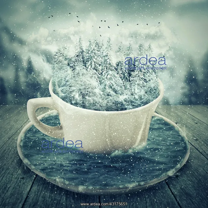: Magic cup in a cold winter day with snowy forest : Magic cup in a cold winter day with snowy forest