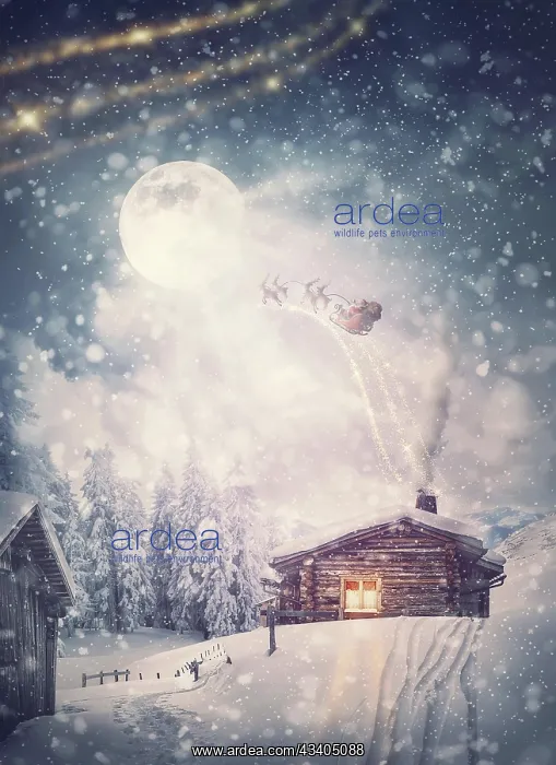 : Magical holiday scene and Santa Claus sleigh with : Magical holiday scene and Santa Claus sleigh with