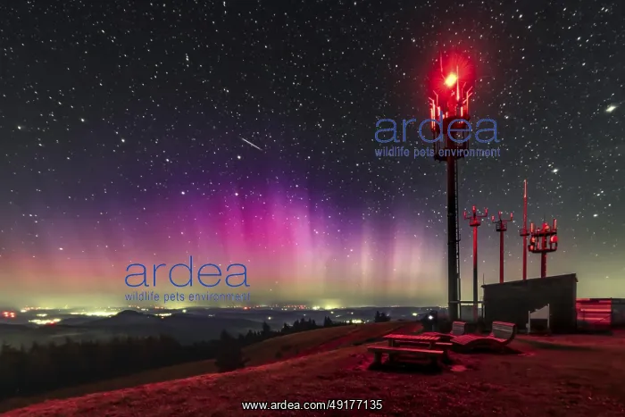 : Magical northern lights over Hesse's highest mountain : Magical northern lights over Hesse's highest mountain