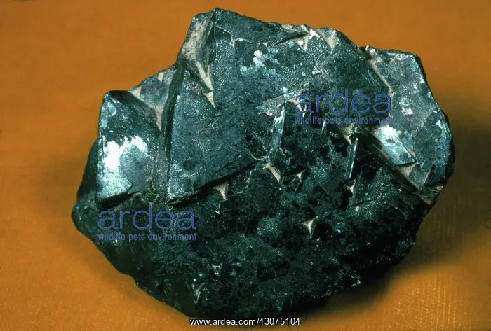 : Magnetite from Twin Peaks, Millard County, Utah : Magnetite from Twin Peaks, Millard County, Utah