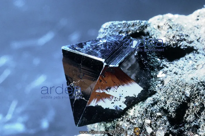 : Magnetite from Binnenthal, Switzerland : Magnetite from Binnenthal, Switzerland