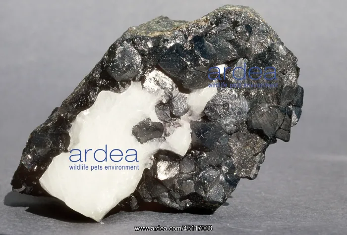: Magnetite with Calcite : Magnetite with Calcite