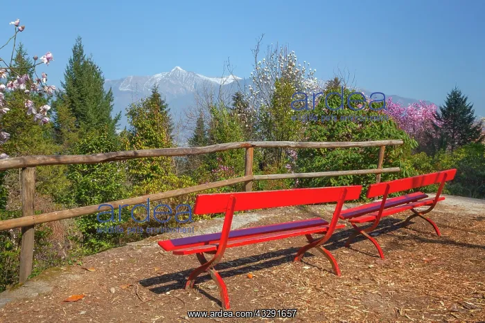 : Magnolias Lago Maggiore - resting place with bright red benc : Magnolias Lago Maggiore - resting place with bright red benc