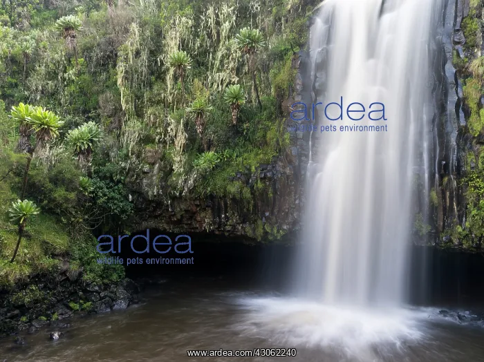 : Magura also spelled Maragua Fall in Aberdare : Magura also spelled Maragua Fall in Aberdare